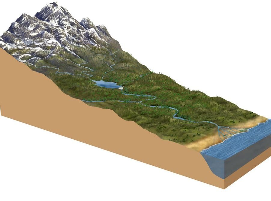 Drone LiDAR field survey project
